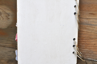 Family_minialbum_nancy keslin_clearscraps_brush