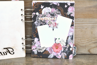 Family_minialbum_nancy keslin_clearscraps_chipboard