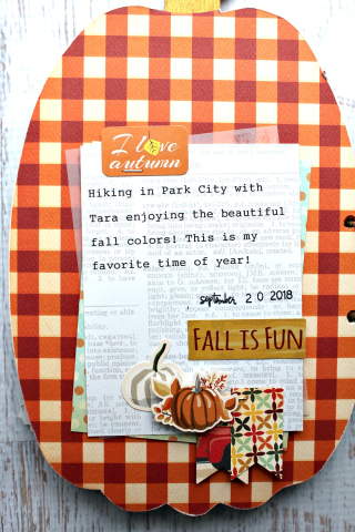 Clear_Scraps_Pumpkin_Wood_Accordion_Shaker_Album9
