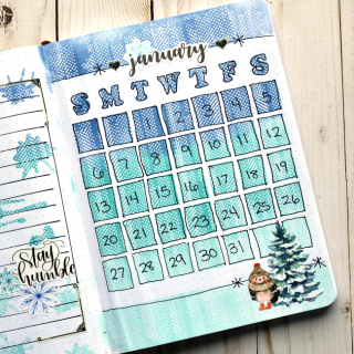 ChristineMeyer-JanuaryBujo3