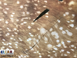 Gatherhowto8_LeahCrowe