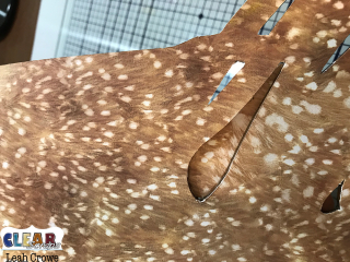 Gatherhowto9_LeahCrowe