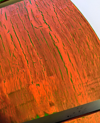 Pumpkin closeup Pumpkin closeup