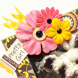 Clear_scraps_3D_frameables_woof_dog_bone_frame_home_decor_tsanders - flowers