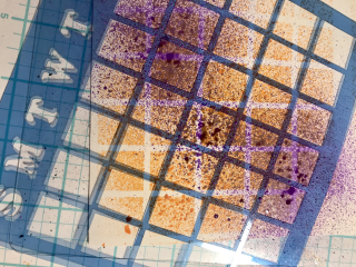 Clear_Scraps_Birthday_Chipboard2