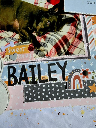 Bailey2