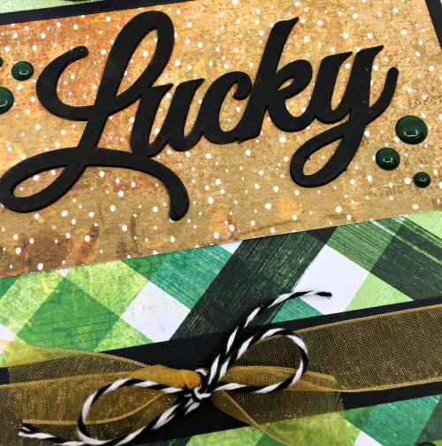 Clear_Scraps_Mini Shaker_Lucky to Have You LO close up 1(1) Clear_Scraps_Mini Shaker_Lucky to Have You LO close up 1(1)