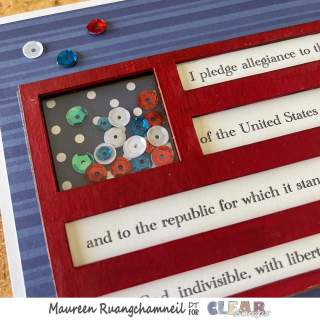 Clear_Scraps_Flag_Shaker6