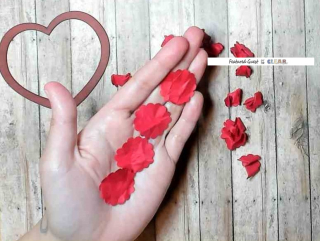 2024-01-29_20-50-55 (1)