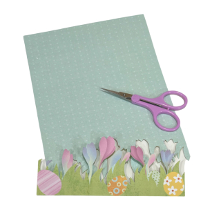 PhotoRoom_20240123_162157 PhotoRoom_20240123_162157