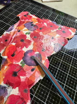 IMG_5821cs IMG_5821cs