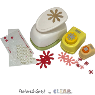 Photoroom_20240323_162322 Photoroom_20240323_162322