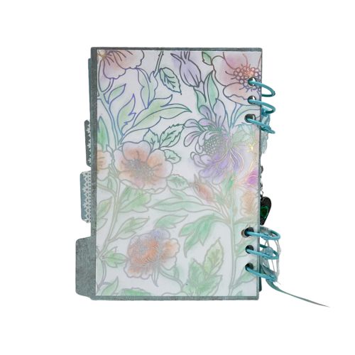 Photoroom_20240525_171707 Photoroom_20240525_171707