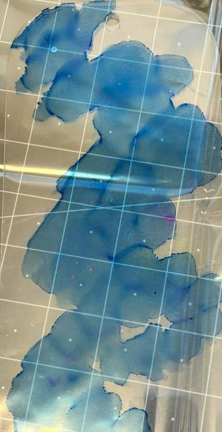 Clear_Scraps_Tag Box and Tags_Winter Wonderland tutorial 2(1)